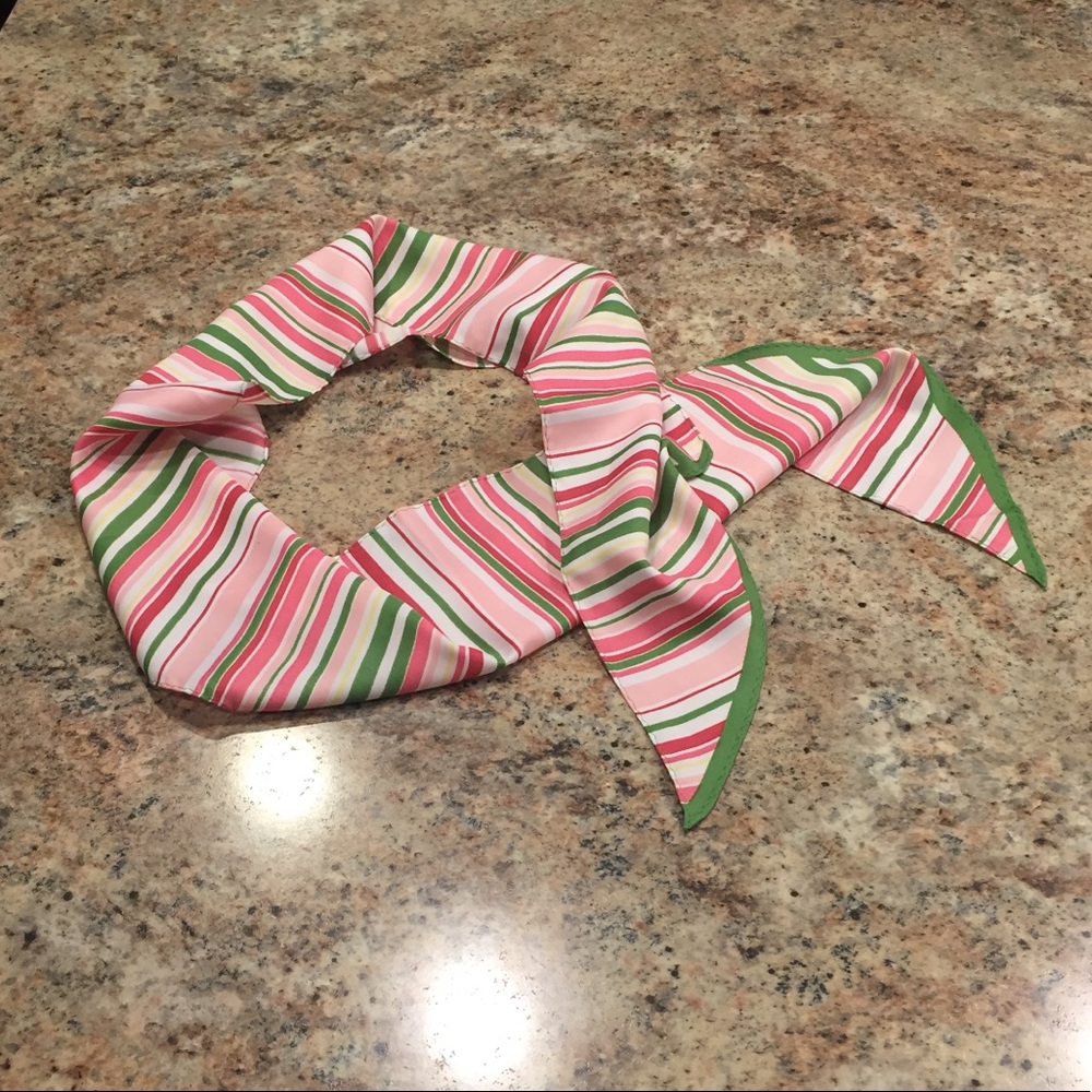 Ann Taylor LOFT Scarf